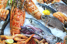 Mauritian exporters to participate in Seafood Expo Global in Belgium